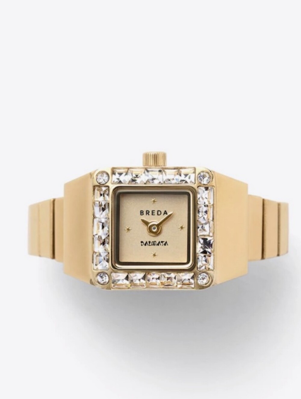 Ring Watch